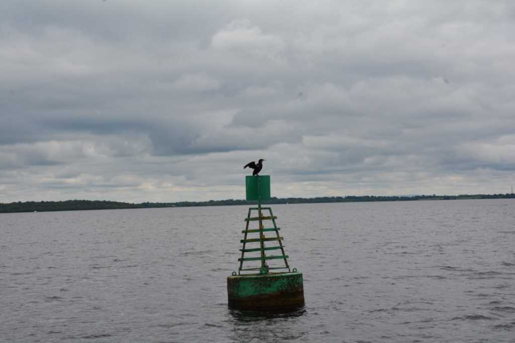 DSC_6375Mittel_.JPG